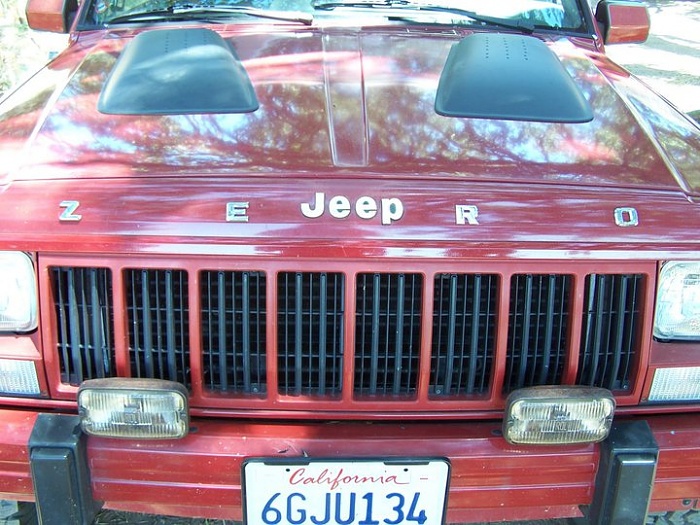Hood-Scoops anyone? pic's needed-zero6.jpg