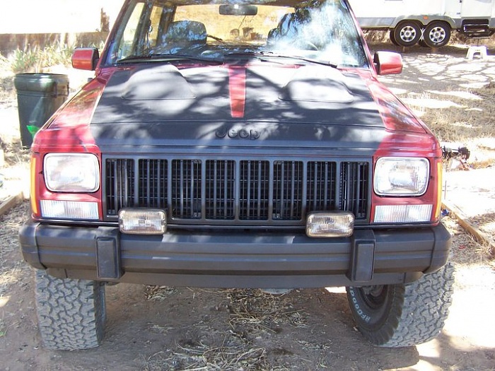 Hood-Scoops anyone? pic's needed-new-zero2.jpg
