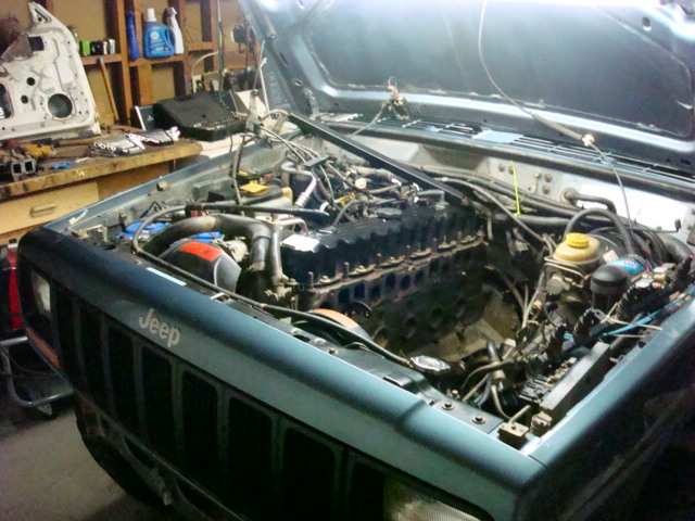 New headers-dsc01489.jpg