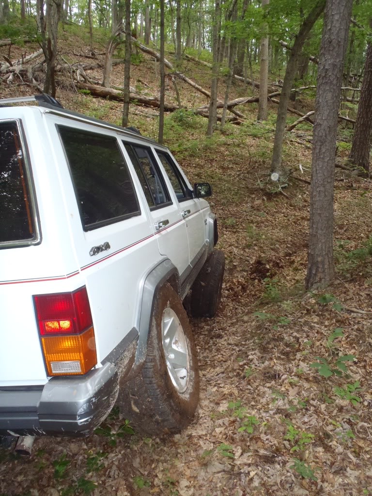 Name:  null-7.jpg
Views: 44
Size:  235.6 KB