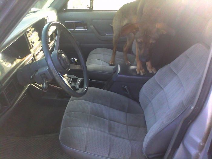 What did you do to your Cherokee today?-cimg0119.jpg