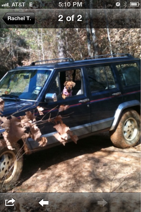 Me and my new jeep accessory-image-1692689650.jpg