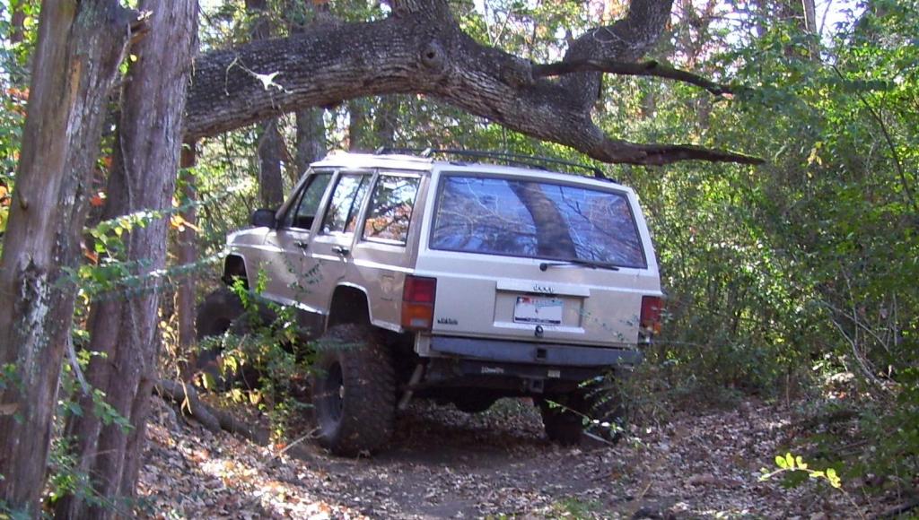 Name:  undertreepose.jpg
Views: 67
Size:  135.5 KB