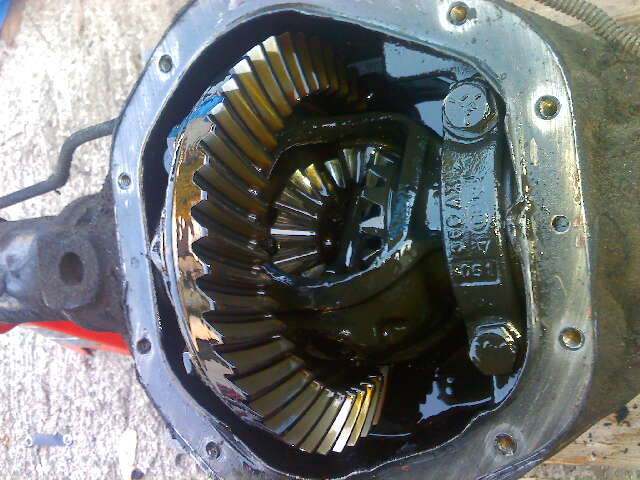 Name: Feb08_0002.jpg
Views: 160
Size: 56.6 KB