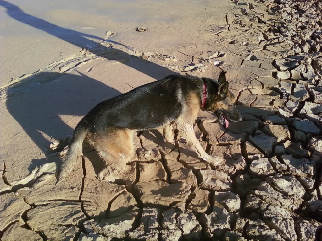 Name:  img1284343427698.jpg
Views: 49
Size:  188.8 KB