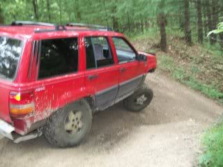 Name:  flex2redbird.jpg
Views: 56
Size:  16.5 KB