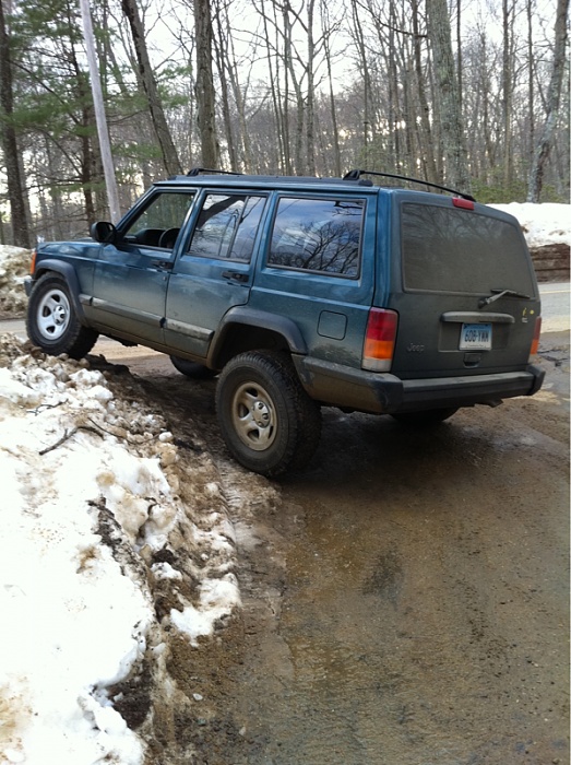 flex pics-image-3725798642.jpg