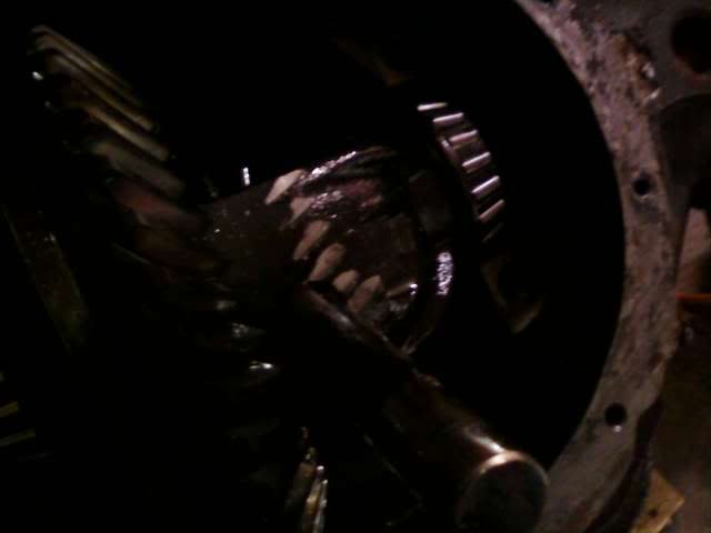 Name:  glydepics2138.jpg
Views: 32
Size:  13.1 KB
