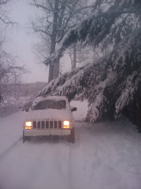 Name:  WedFeb10165115EST2010.jpg
Views: 28
Size:  35.1 KB