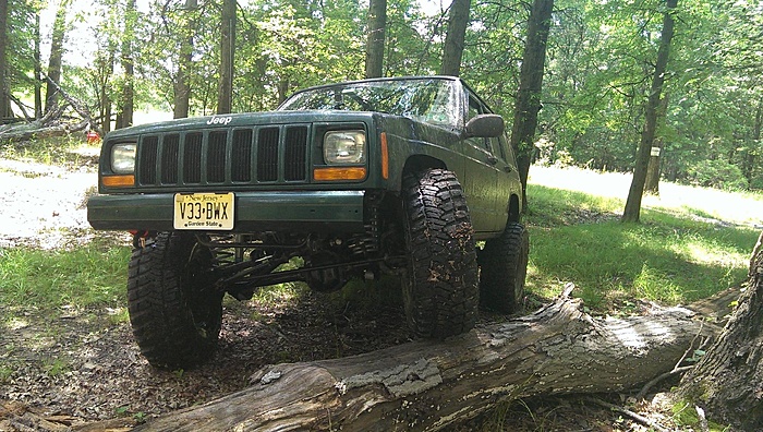Jeeps in the Wild-cojzwsg.jpg