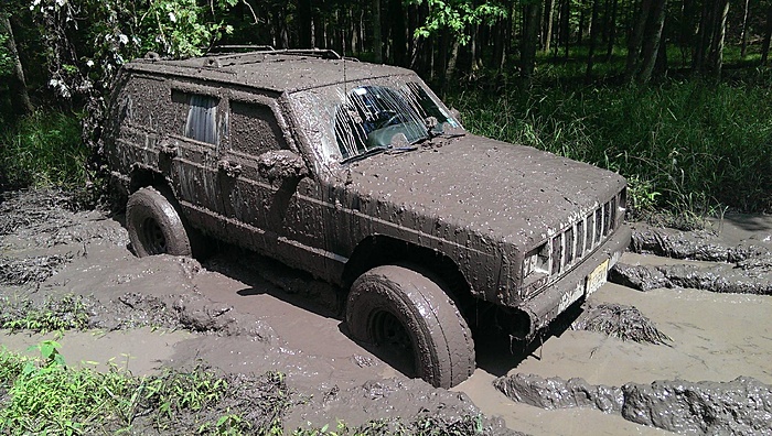 Jeeps in the Wild-hmhbveq.jpg