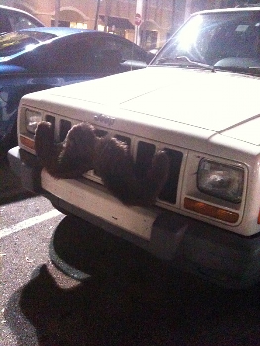 What did you do to your Cherokee today?-image-2965080418.jpg