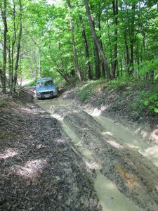 Name: 400x300IMG_1212.jpg
Views: 201
Size: 44.4 KB
