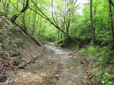 Name:  400x300IMG_1244.jpg
Views: 134
Size:  77.6 KB