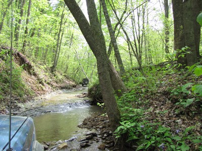 Name: 400x300IMG_1259.jpg
Views: 126
Size: 74.0 KB