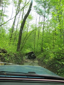 Name:  400x300IMG_1265.jpg
Views: 176
Size:  42.1 KB