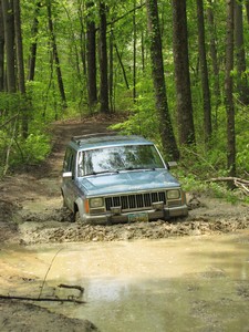 Name: 400x300IMG_1268.jpg
Views: 223
Size: 39.2 KB