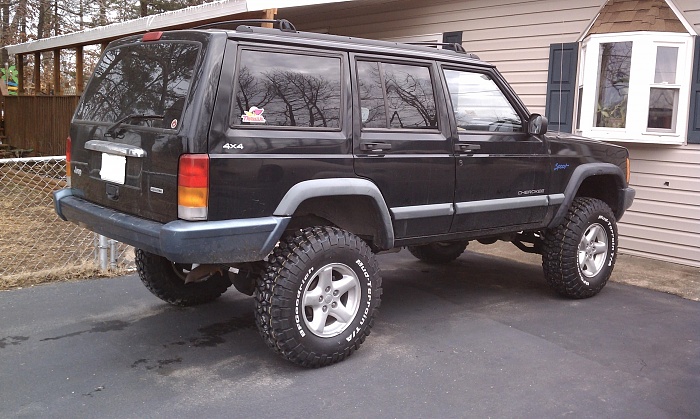 bumper color-rear.jpg