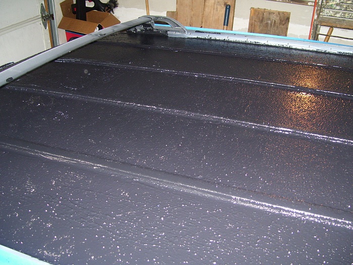 Bed lined my roof-100_1949.jpg