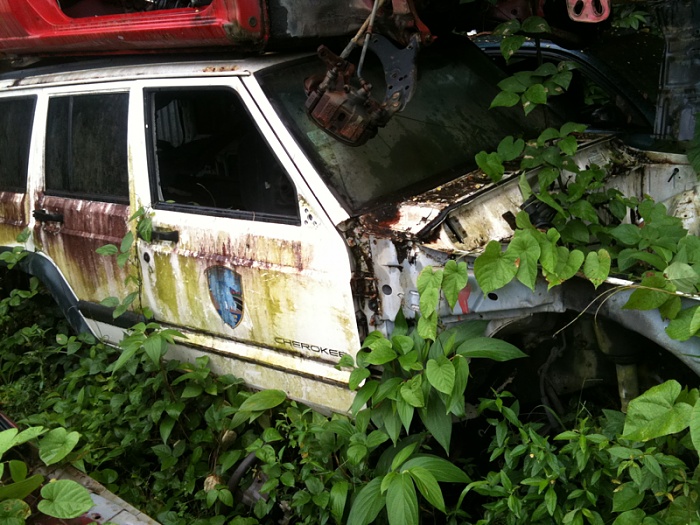 What did you do to your Cherokee today?-image-3708356441.jpg