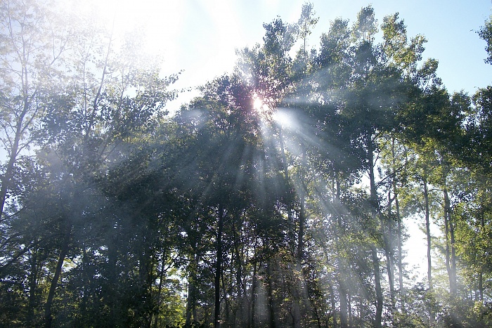 a few pics-sun-smoke-1-copy.jpg