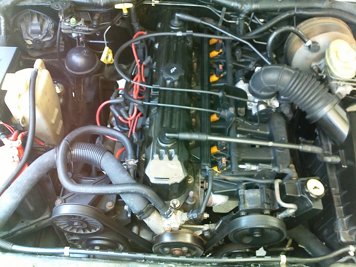 post the favorite picture of your jeep.-06042011325.jpg