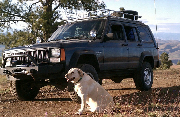 Post Pics of Your Dog in Your Jeep-forumrunner_20110709_123622.jpg