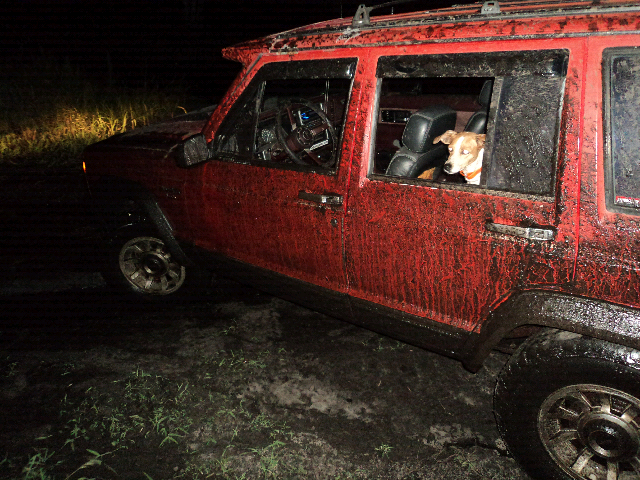 Post Pics of Your Dog in Your Jeep-forumrunner_20110709_160532.jpg