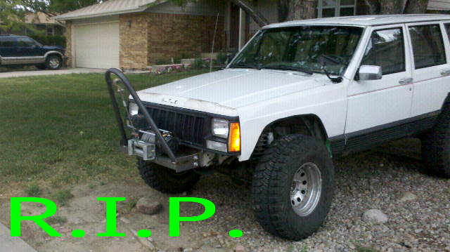 good bye rufus... maybe-forumrunner_20110709_165553.jpg