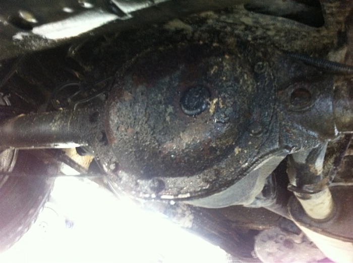 What Rear Diffs?-image-1450400007.jpg