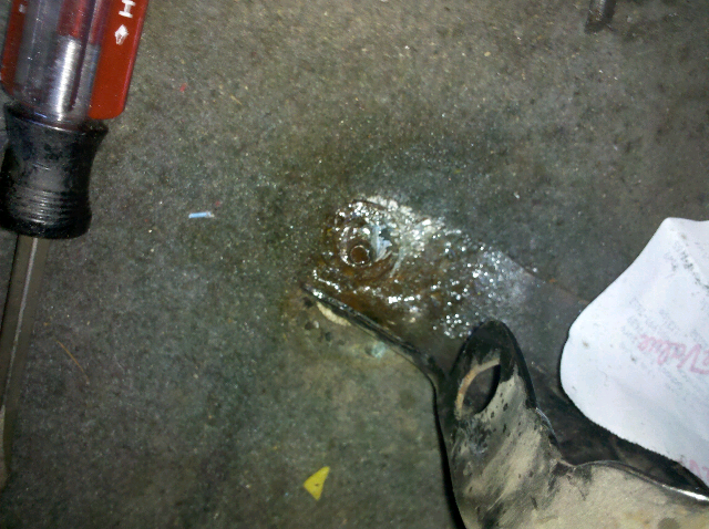 what shouls i do?-forumrunner_20110814_192348.jpg
