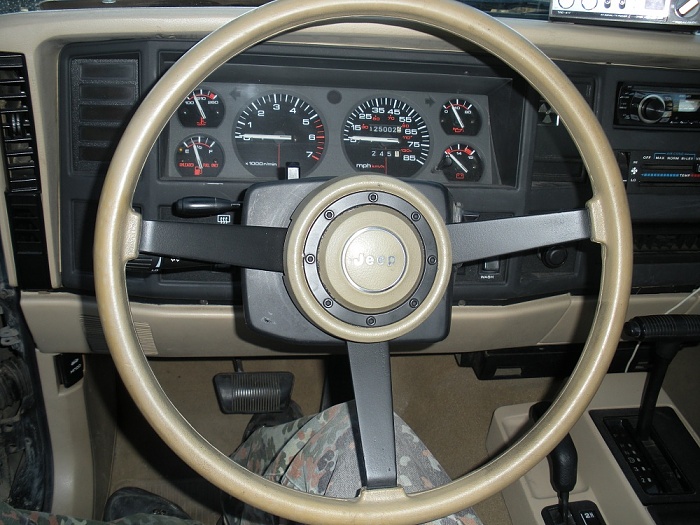 What did you do to your Cherokee today?-dscn3204.jpg
