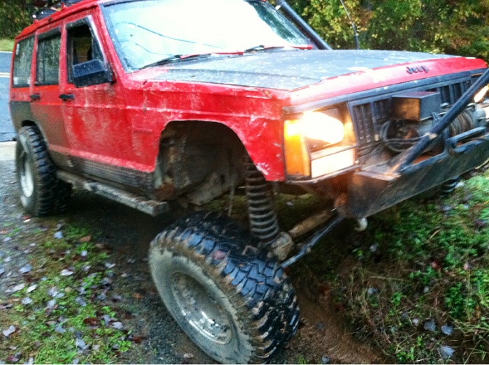 Yard crawling-image-2937698068.jpg