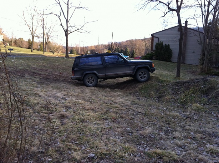 Yard crawling-image-2325315716.jpg