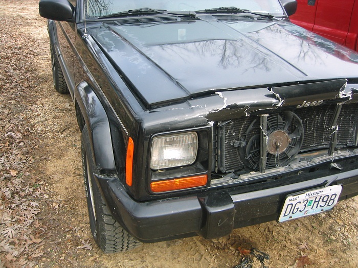 oh, deer.-img_3461.jpg