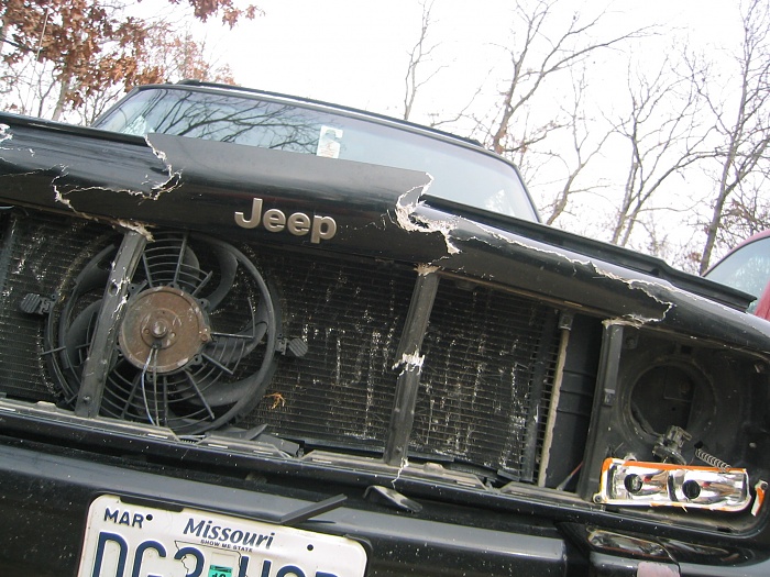 oh, deer.-img_3463.jpg