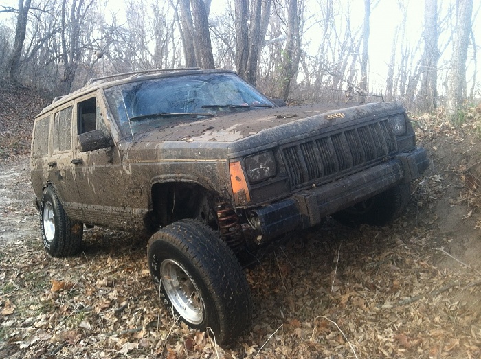 flex pics-img_0229.jpg