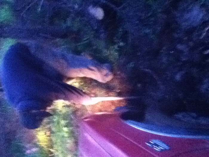 The "Stuck" thread-img_0315.jpg