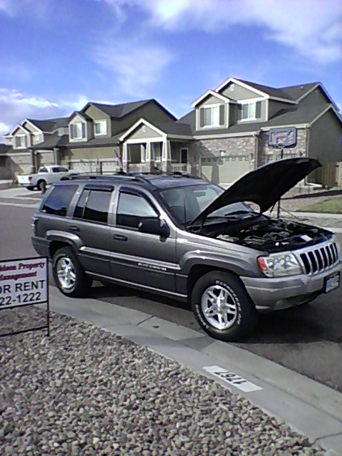 My Jeep-1125111332a.jpg