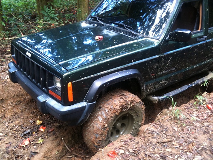 Week # 3 Picture Contest-image-1868935989.jpg