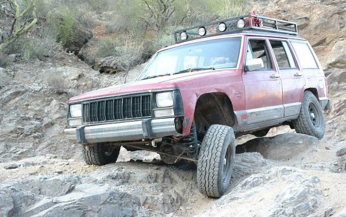 teenage owners post pics-image-2751693725.jpg