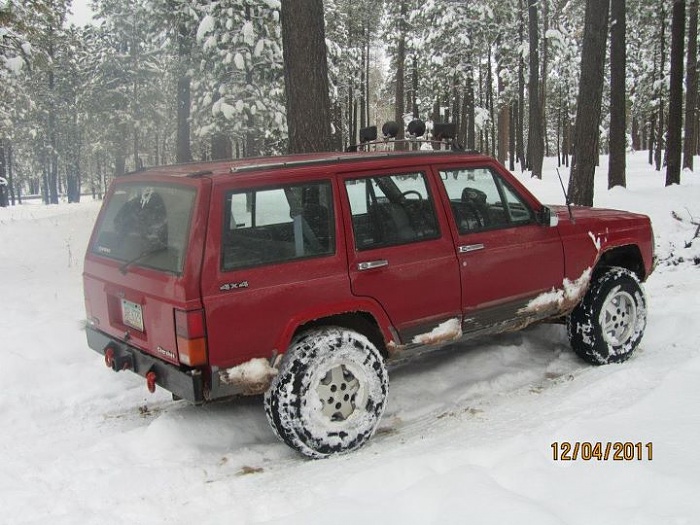 teenage owners post pics-image-1038835168.jpg
