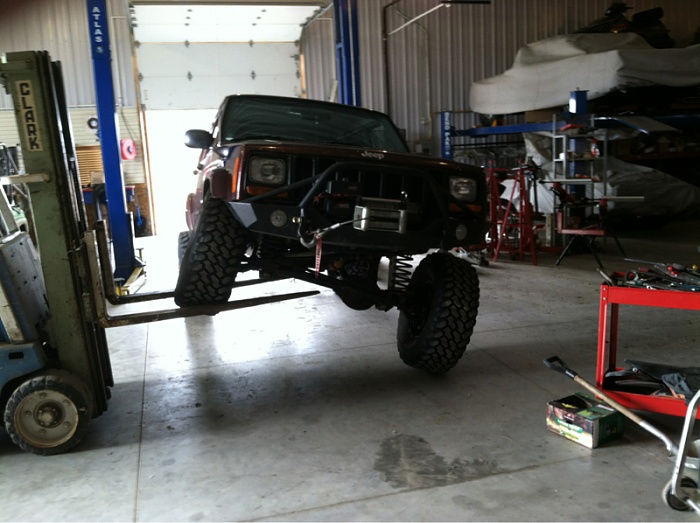 flex pics-image-2568949494.jpg