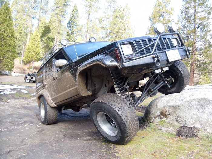 teenage owners post pics-image-1466095695.jpg