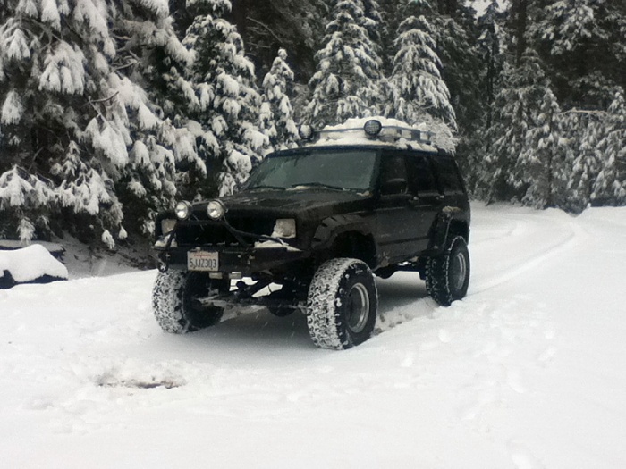 teenage owners post pics-image-216768083.jpg