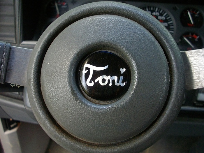 Custom Horn Button-imgp0187.jpg
