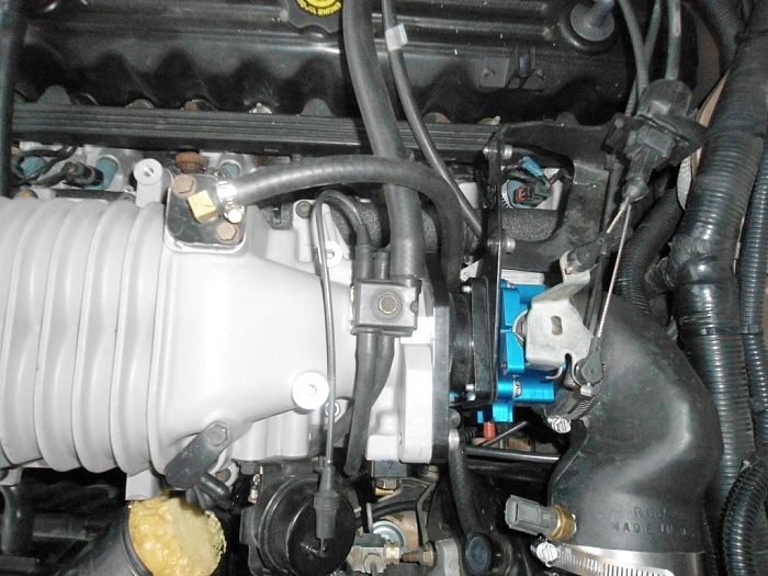 Feeler-- D.I.Y. Eaton M62 Supercharger Kit-dsc00806-medium-.jpg