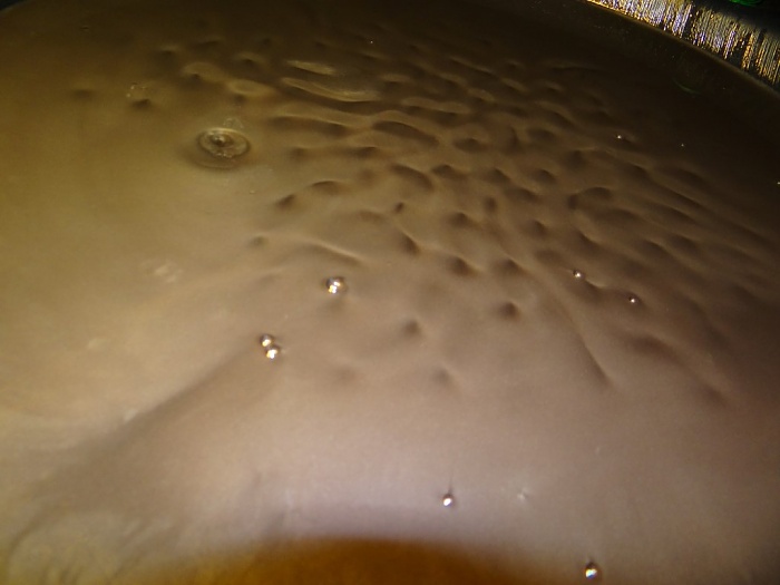 What would cause this? (Tcase fluid looks like liquid metal)-dsc07359-medium-.jpg
