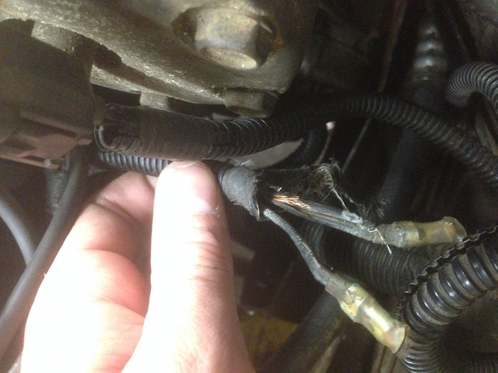 mystery wires after engine swap-img_5705.jpg