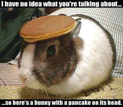 Name:  bunny-pancake.jpg
Views: 693
Size:  18.7 KB